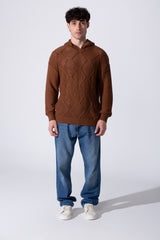 Slim Fit Transparent Men Hood Sweater