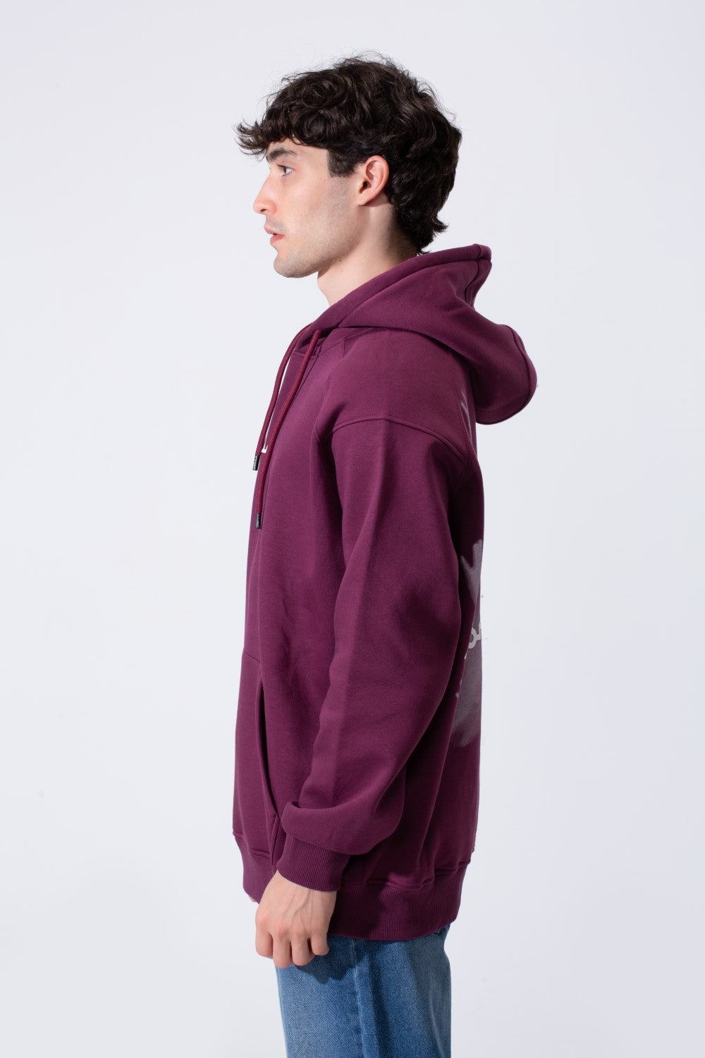 Regular Fit Graphic Men Hoodie