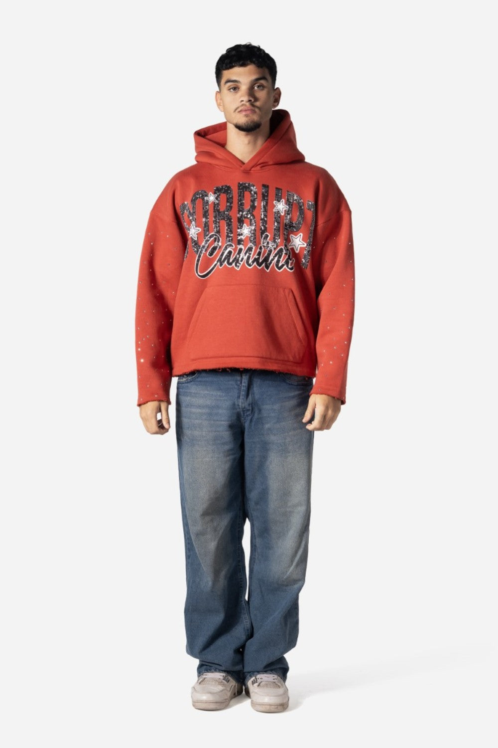 Graphic Rhinestone Corrupt Canine Men Hoodie