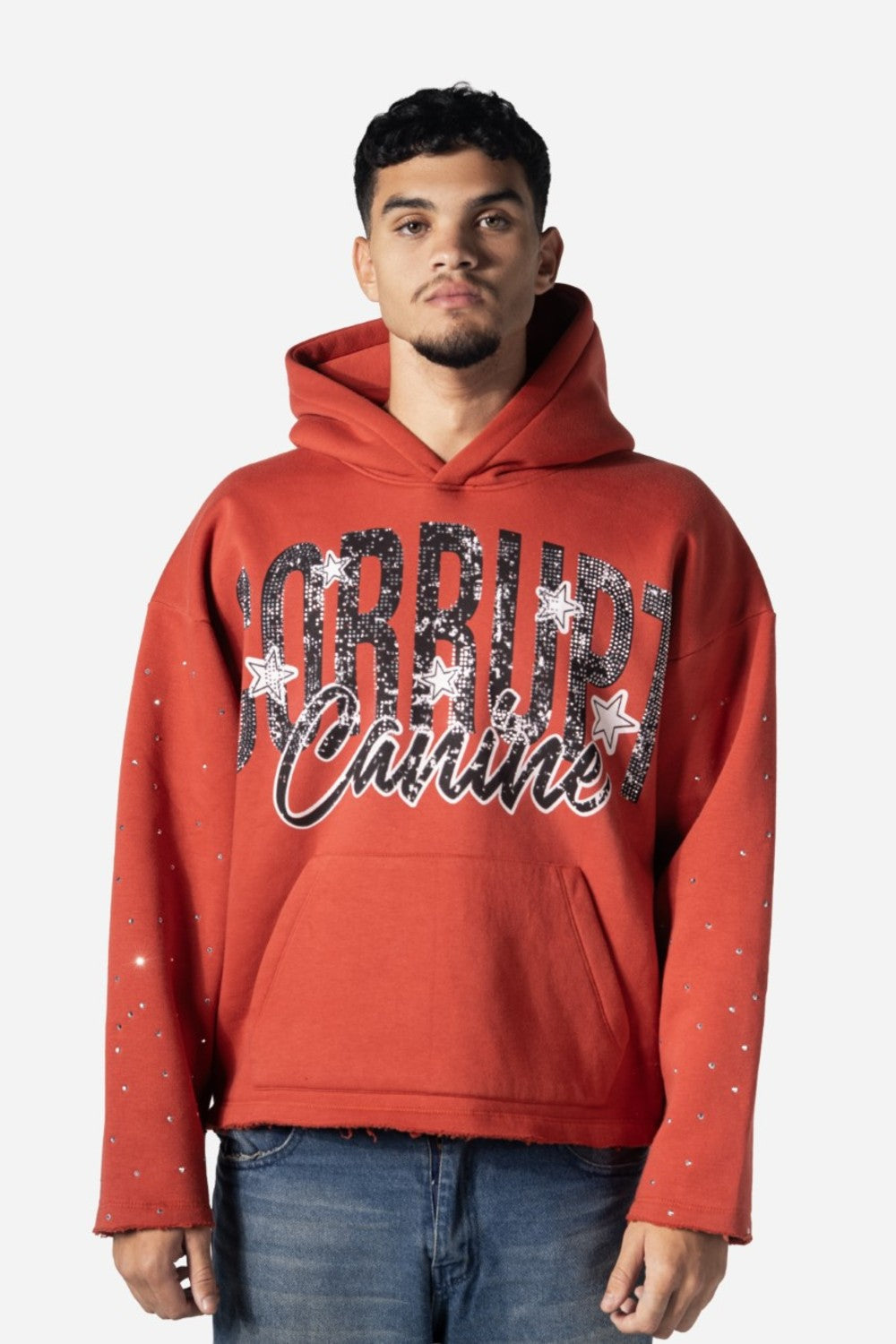 Graphic Rhinestone Corrupt Canine Men Hoodie