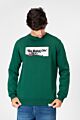 Printed Crew Neck Tomato Sweatshirt