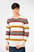 Striped Crew Neck Pullover Sweater