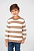 Striped Cotton Round Neck Pullover Sweater